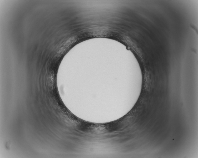 X0000102270113200808221446