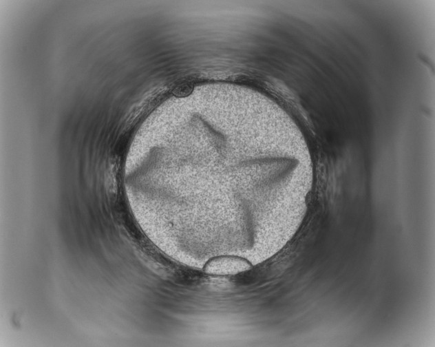X0000102270114200808221446
