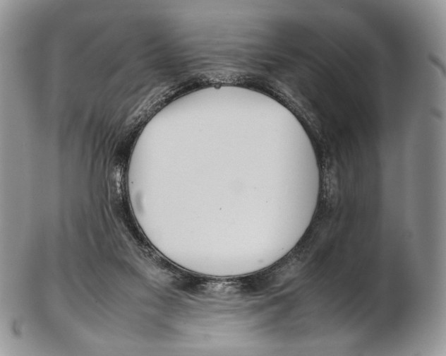 X0000102270117200808221446