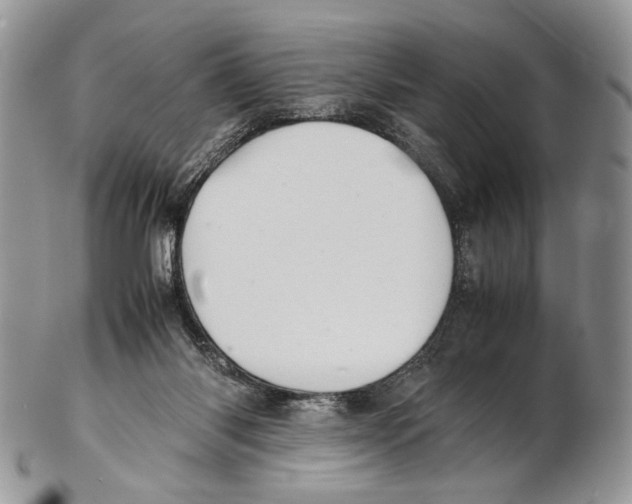 X0000102270118200808221446