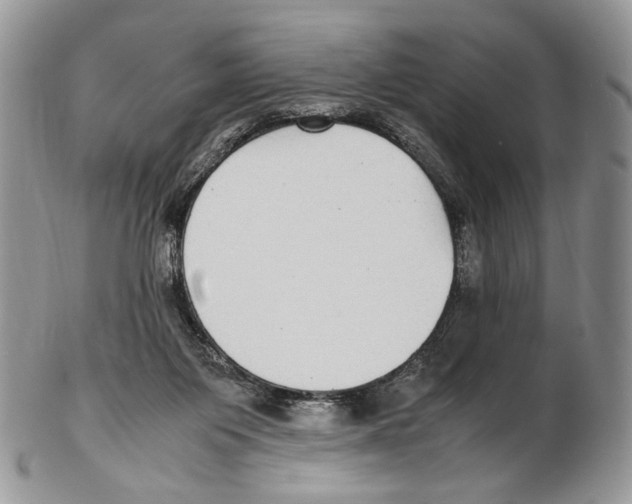 X0000102270119200808221446