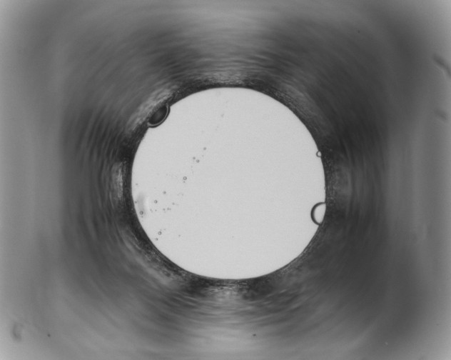 X0000102270120200808221446