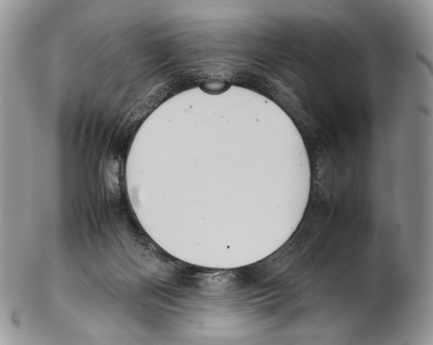 X0000102270122200808221446