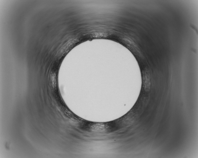 X0000102270123200808221446