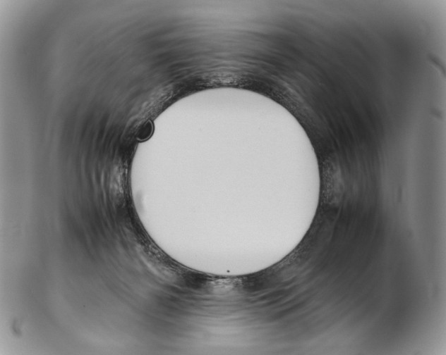 X0000102270126200808221446