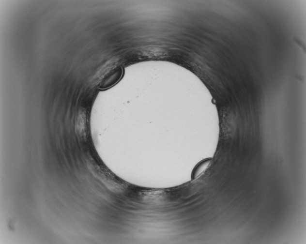 X0000102270132200808221446