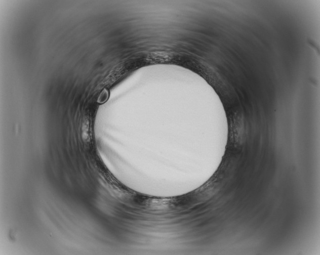 X0000102270134200808221446