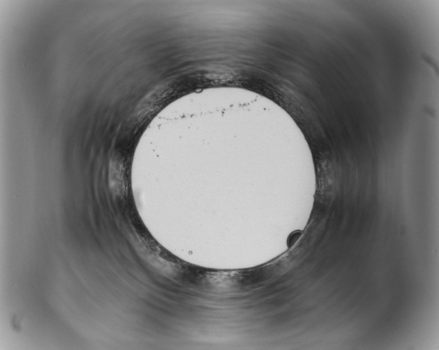 X0000102270136200808221446