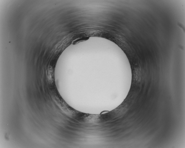 X0000102270138200808221446