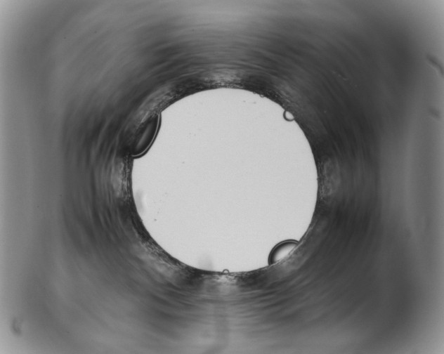 X0000102270140200808221446