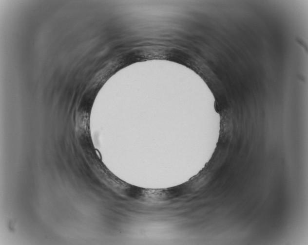 X0000102270141200808221446