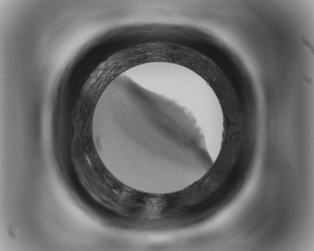 X0000102270143200808221446