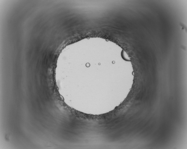 X0000102270144200808221446
