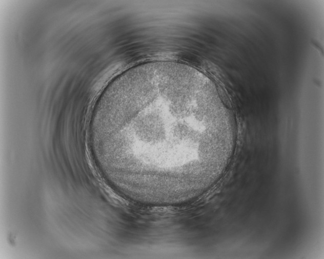 X0000102270145200808221445