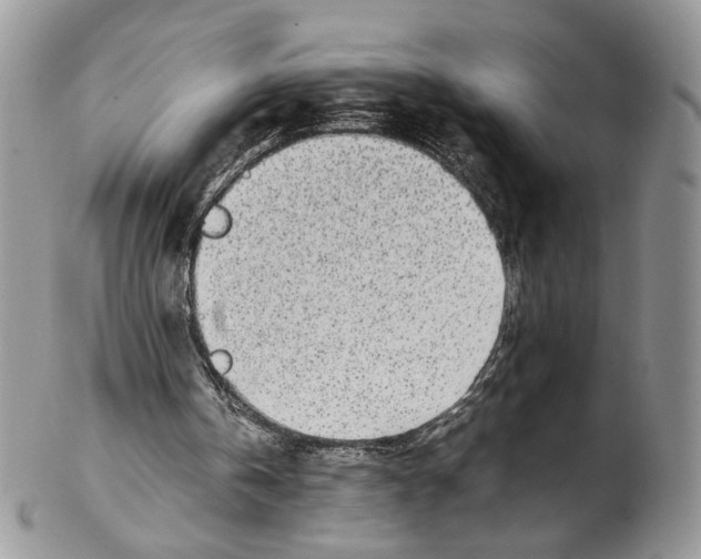 X0000102270146200808221445