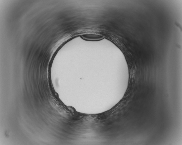 X0000102270148200808221445