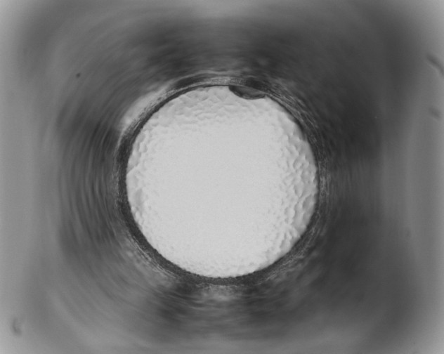 X0000102270149200808221445
