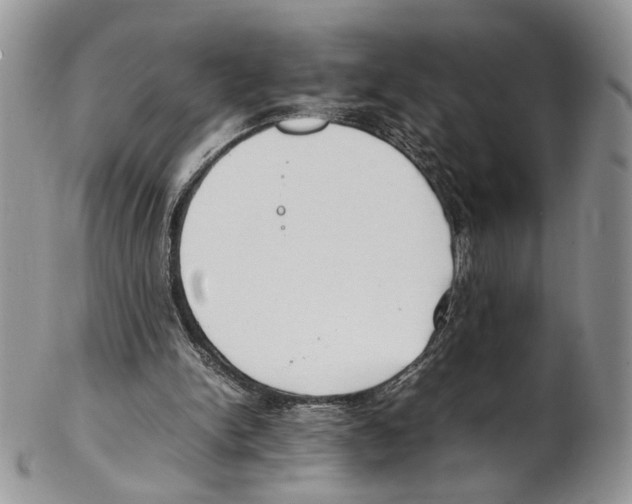 X0000102270150200808221445