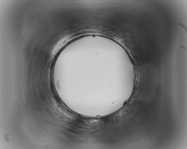 X0000102270151200808221445