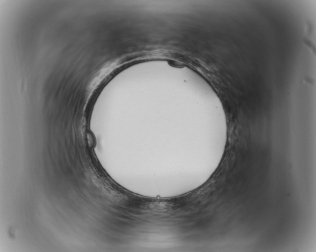 X0000102270152200808221445