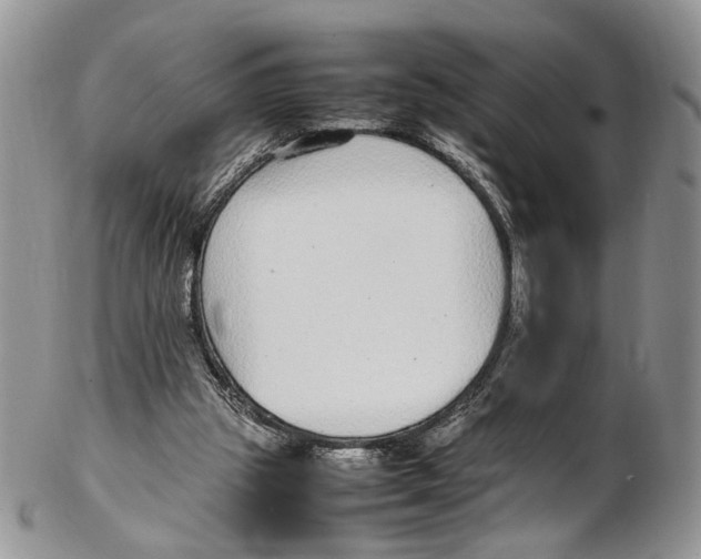 X0000102270153200808221445
