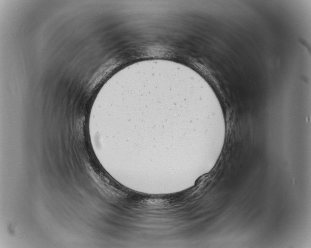 X0000102270154200808221445