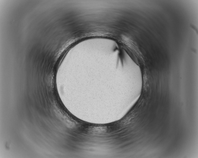 X0000102270156200808221445