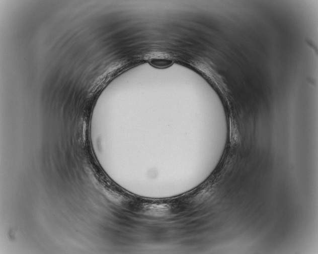 X0000102270157200808221445
