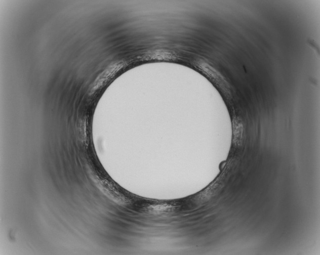 X0000102270158200808221445