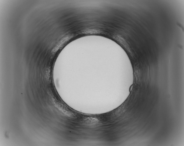 X0000102270159200808221445