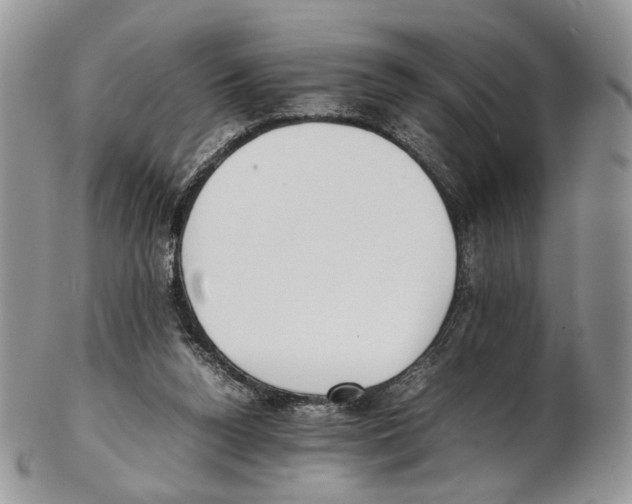 X0000102270160200808221445
