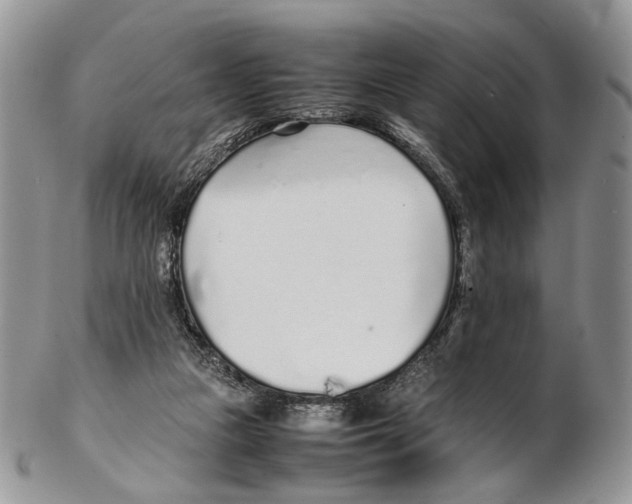 X0000102270161200808221445