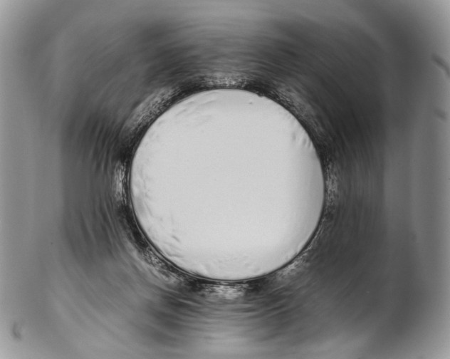 X0000102270166200808221445