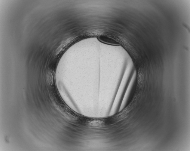 X0000102270168200808221445