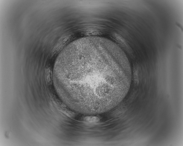 X0000102270169200808221445