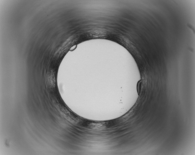 X0000102270170200808221446