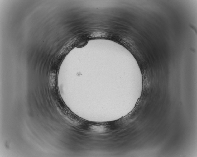 X0000102270171200808221446