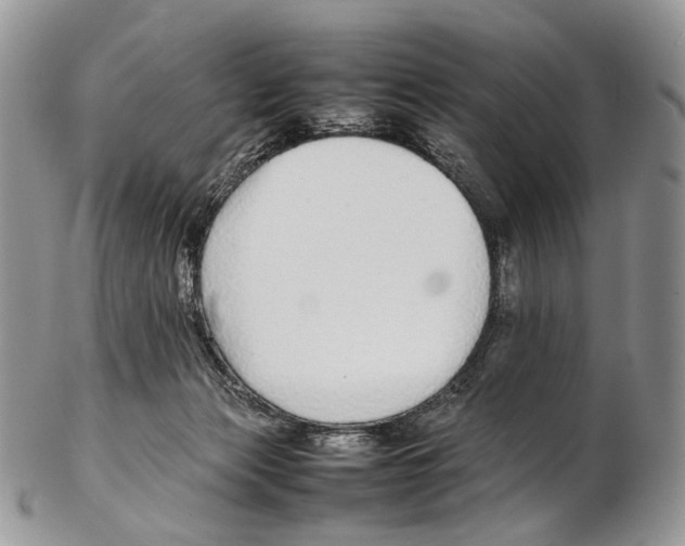 X0000102270173200808221446