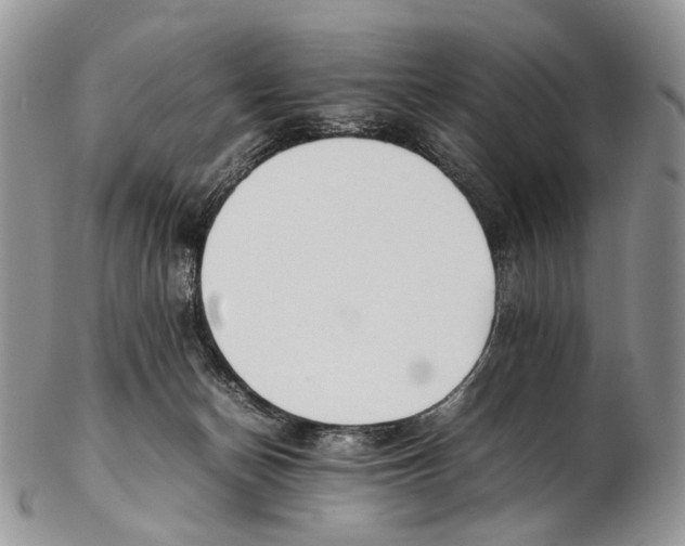 X0000102270174200808221446