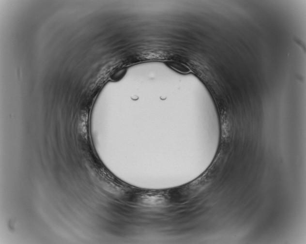 X0000102270175200808221446