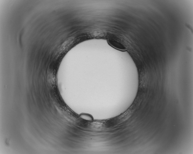 X0000102270176200808221446