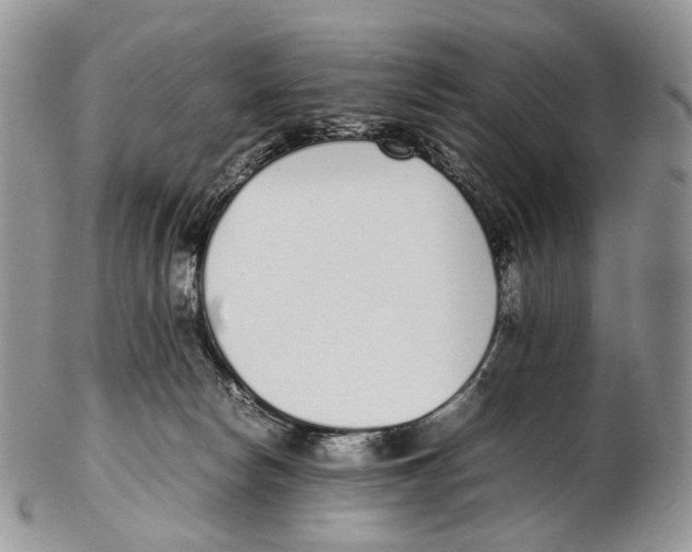 X0000102270178200808221446