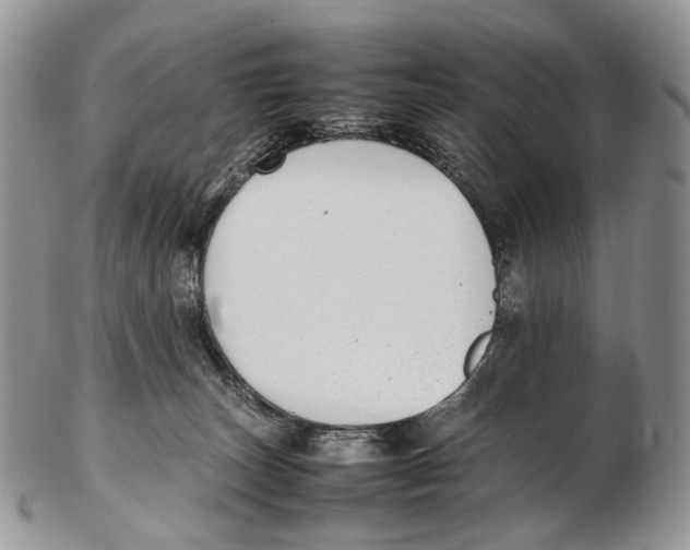 X0000102270179200808221446