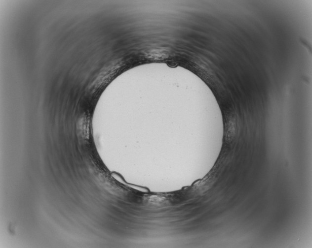 X0000102270180200808221446