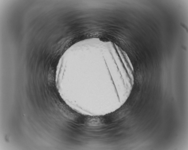 X0000102270181200808221446