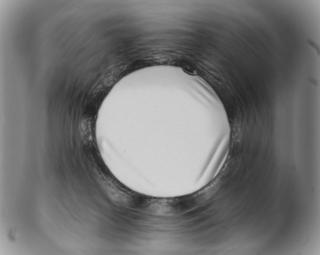 X0000102270182200808221446