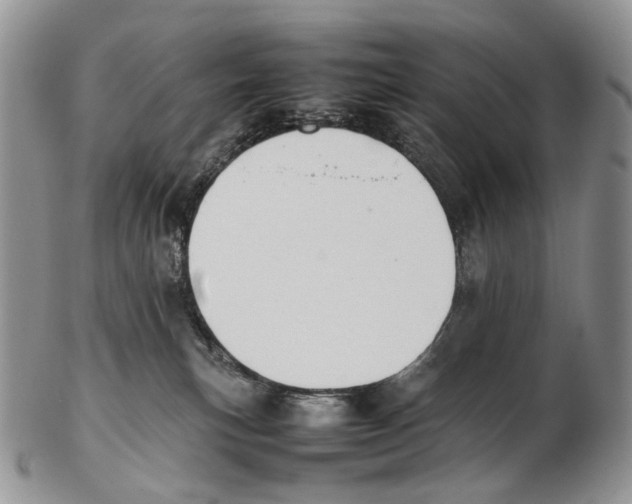 X0000102270183200808221446