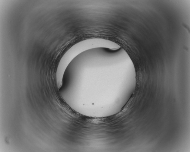X0000102270184200808221446