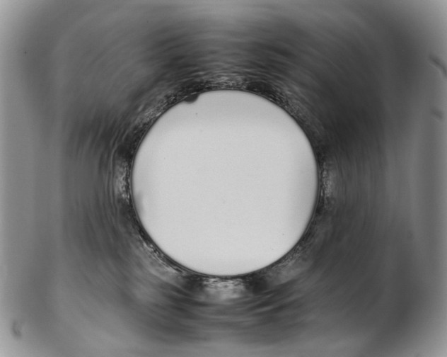 X0000102270185200808221446