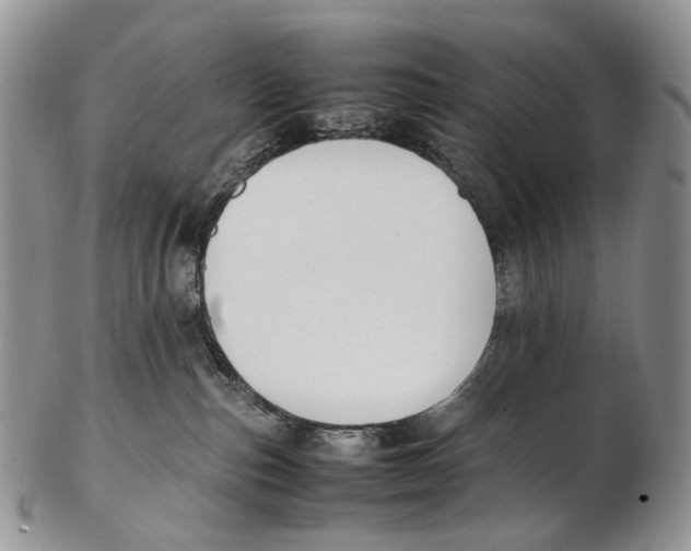 X0000102270187200808221446